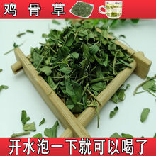 相思叶鸡骨草茶