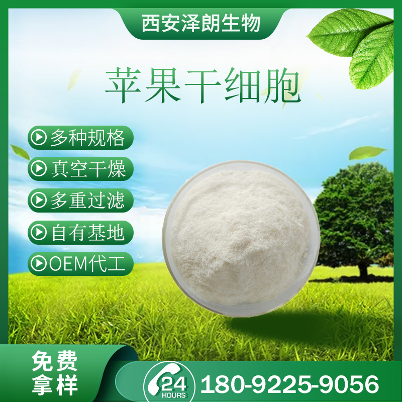苹果干细胞99% 植物果蔬干细胞 苹果破壁干细胞 苹果细胞粉
