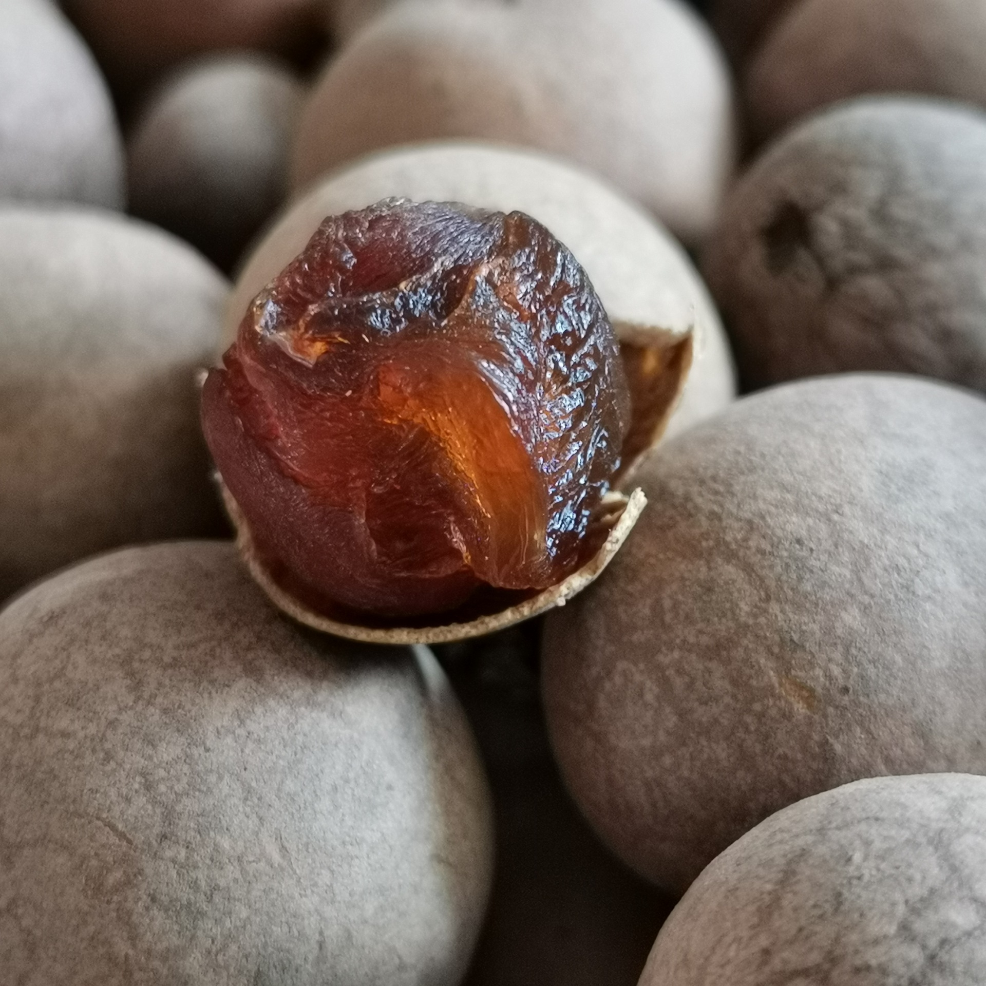 6a 桂圆干 250克/包 大果 龙眼干零食煲汤煮粥散装泰国桂圆干