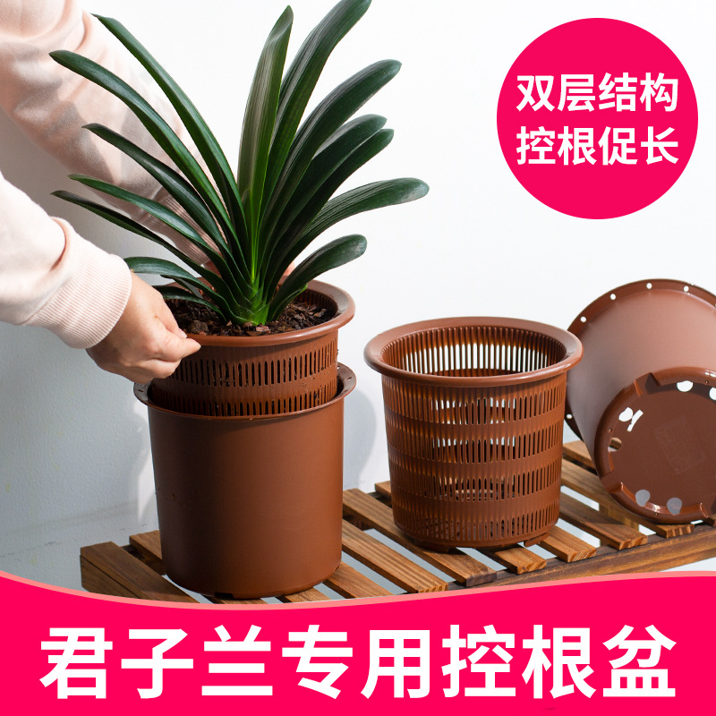 美莳君子兰控根花盆透气塑料树脂大号加仑月季虎皮兰蝴蝶兰专用盆