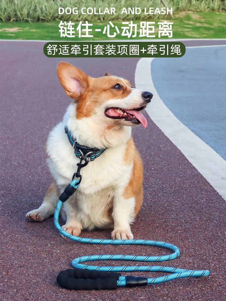 德国狗狗牵引绳柯基金毛防爆冲中大型犬脖圈项圈遛宠物狗绳狗链子