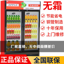 饮料展示柜商用啤酒柜立式单双门无霜风冷便利店水果蔬菜保鲜冰箱