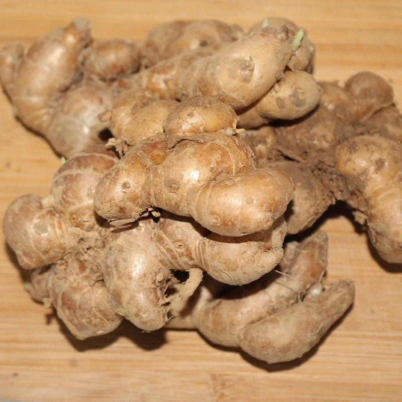 广东高州特产新鲜沙姜/山奈调料沙姜可批发 白切鸡椰子鸡猪脚配料