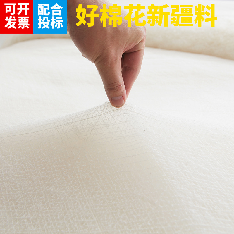 Xinjiang Cotton Quilts Cotton Tire Cotton Student Single All Cotton Dormitory Kindergarten Quilt Quilt Cushion Mattress Duvet Insert