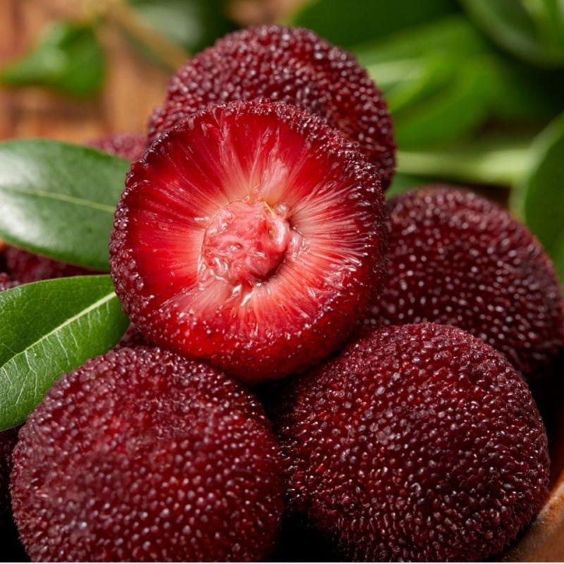 杨梅干3斤杨梅冷冻新鲜杨梅冰冻速冻泡酒新鲜孕妇冷冻杨梅新鲜