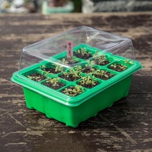 12盆育苗盒箱穴盘种植盒孔钵营养杯育苗塑料基质土壤种植托盘