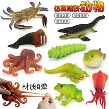 软胶硅胶章鱼刺河豚减压毛毛虫玩具青蛙柔软模型动物儿童礼物跨境