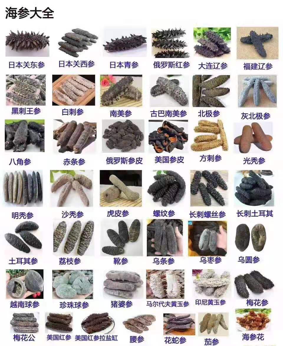 产地直批 俄罗斯/加拿大海参皮 原货足干海参 水发原料 海味干货