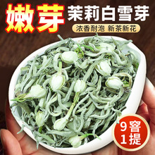 2024新茶茉莉花茶明前飘香白雪嫩芽白毫银针花茶绿茶特种正宗批发