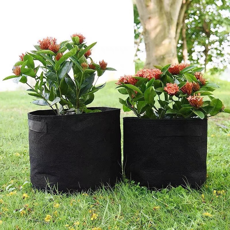 环保袋无纺布美植袋种植袋植物袋阳台盆景蔬菜种植盆室内种花盆