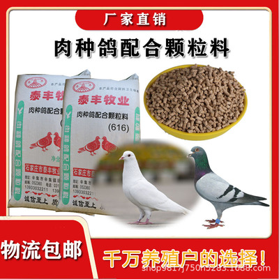 鸽粮肉鸽全营养颗粒饲料斑鸠保健信鸽赛鸽观光鸽种鸽鸽料蛋白质