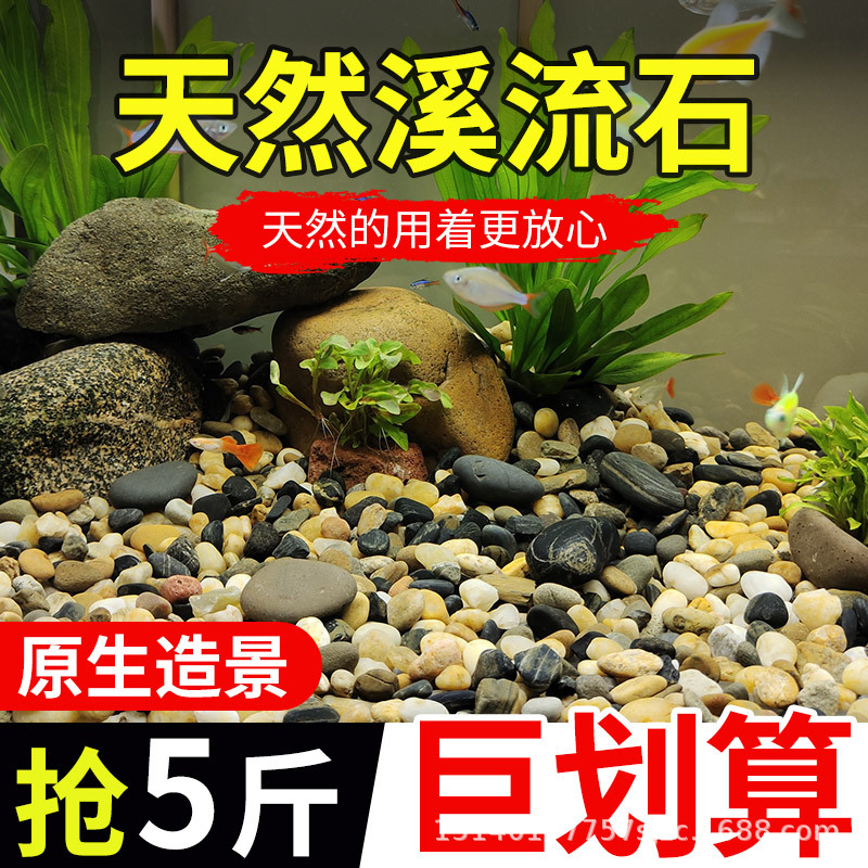 native natural stream stone small stone fish tank landscape paving flowerpot decoration colorful pebble turtle fish tank sand