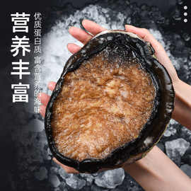 澳洲大鲍鱼深海黄金鲍特大新鲜水产海鲜冷冻大澳鲍400-500克1只装