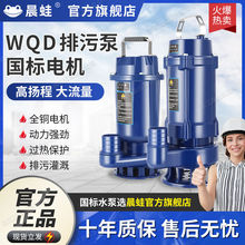 污水泵220V家用小型抽水泵高扬程化粪池抽水抽粪排污泵380V