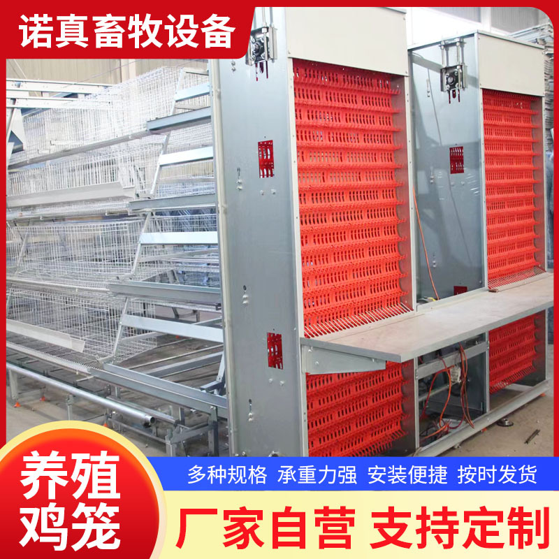 全自动阶梯式蛋鸡笼加背负式喂料机捡蛋机自动喂料系统养鸡设备