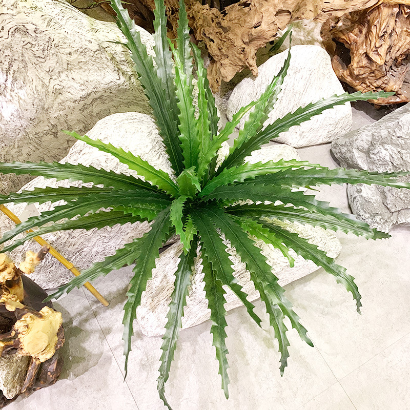 18叶锯齿剑叶植物墙配材仿真鸟蕨热带雨林山苏花鸟巢蕨盆景凤尾蕨