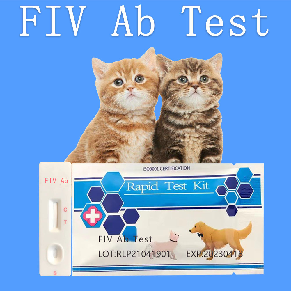 淮北摩友之家_摩友帮救护车开道_开救护车可以闯红灯吗