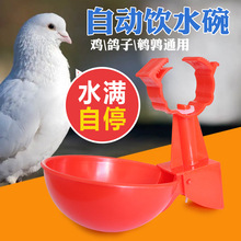 新型鸡鸭鹅用自动饮水碗吊杯式水碗鸽子鹌鹑用饮水吊杯喂水器水杯