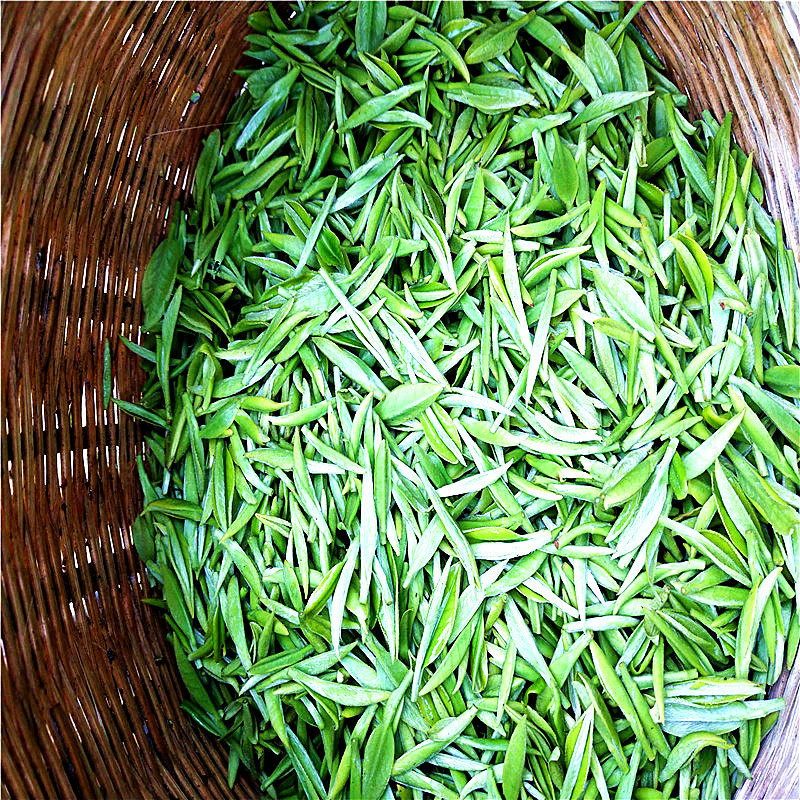 贵州绿茶湄潭翠芽雀舌青针嫩芽明前散装一斤起混批源头厂家直供