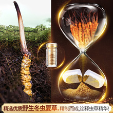 痹疼舒康冬虫草全蝎片非北京福瑞康冬虫草全竭胶囊3盒包邮5送2