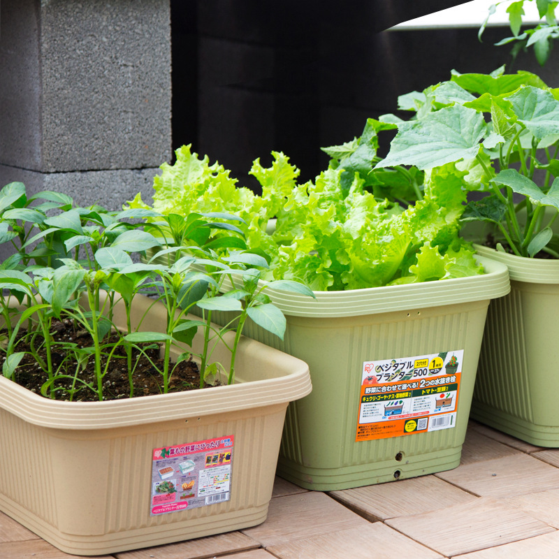 花盆阳台种菜盆长方形特大仿陶瓷塑料花盆爱丽丝蔬菜种植箱花瓶宠