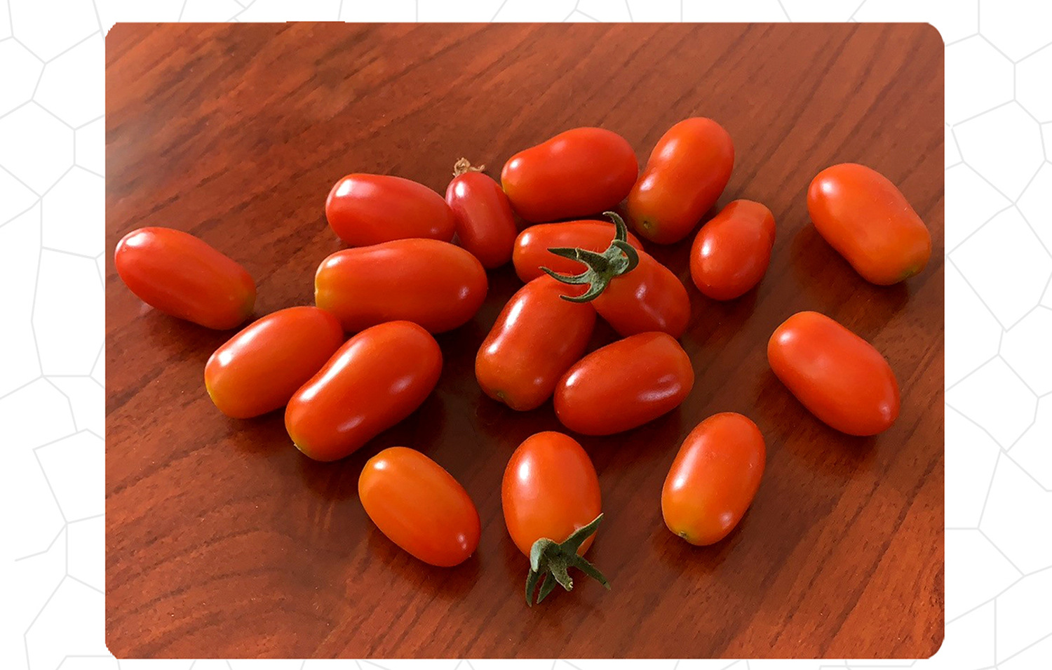 中科茂华蔬菜种子冰糖花生果樱桃番茄种子圣女果小西红柿阳台盆栽