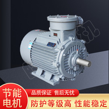 安徽皖南电机YB3系列隔爆型三相异步电动机厂家直供-煤矿设备机械