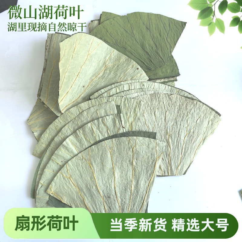 微山湖整张干荷叶切片32*22*8 用于糯米鸡蒸包木桶饭荷叶片