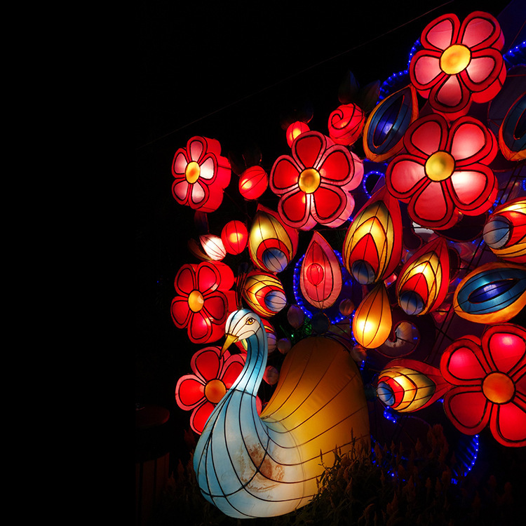 春节元宵节节日灯会花灯装饰仿真动植物花灯组合 自贡江山月摆件