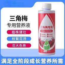 三角梅专用肥催花营养液家用养花卉通用型梅花促花保花腊梅催花素