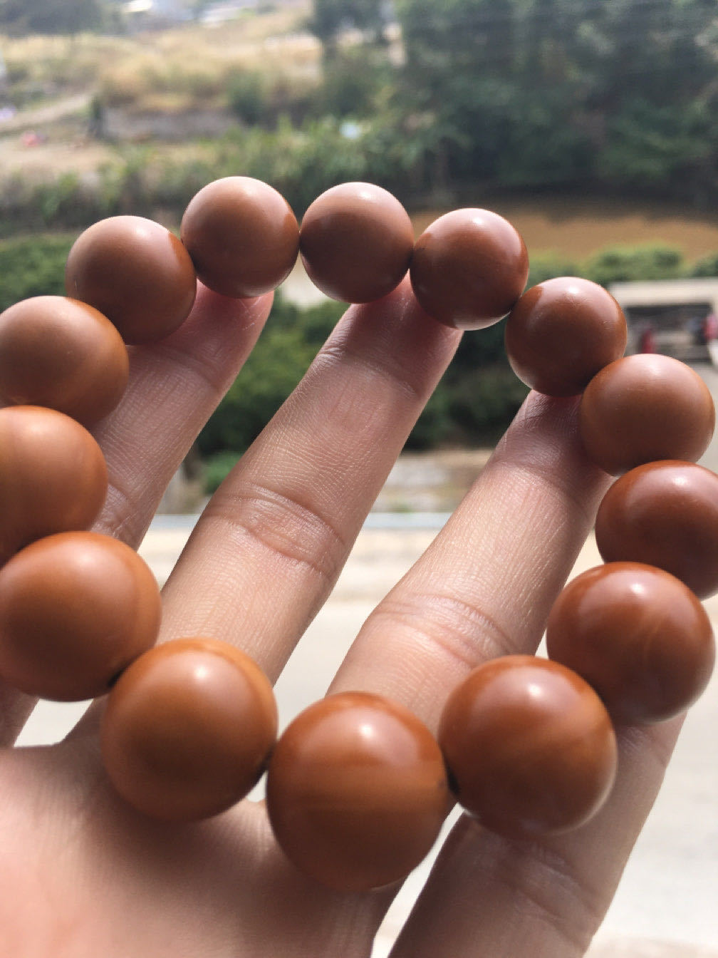 厂家直供橄榄核光珠手串橄榄核圆珠男士大手串广东老铁核素核手链