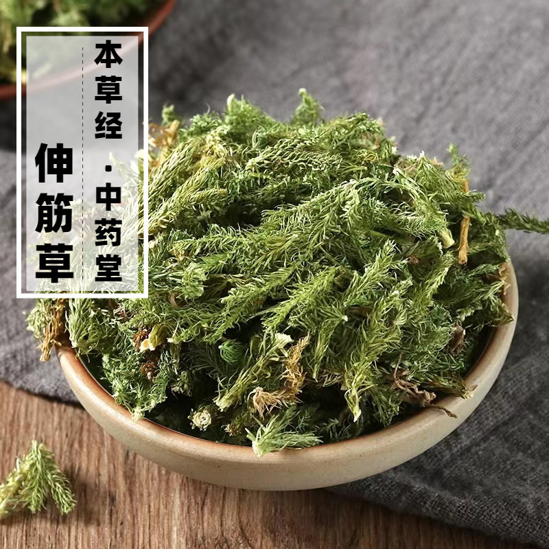 云南野生伸筋草中药材500g精选特级天然无硫新货中草药正宗舒筋草