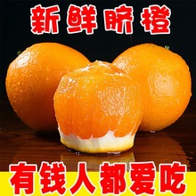 橙批发新鲜夏脐橙子当季水果手剥甜橙江西赣南脐橙整箱批发价榨汁