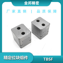 TTBSF精定位块组件 辅助器边锁TBSF定位块塑胶模具标准件非标制作