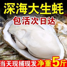 乳山生蚝鲜活10新鲜特大海蛎子5斤带箱海鲜牡蛎水产整箱商用