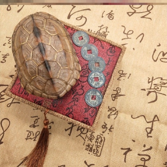 龟壳摇卦六十四卦龟甲文玩把件乌龟壳六摇卦铜钱用具工具摆件卦具