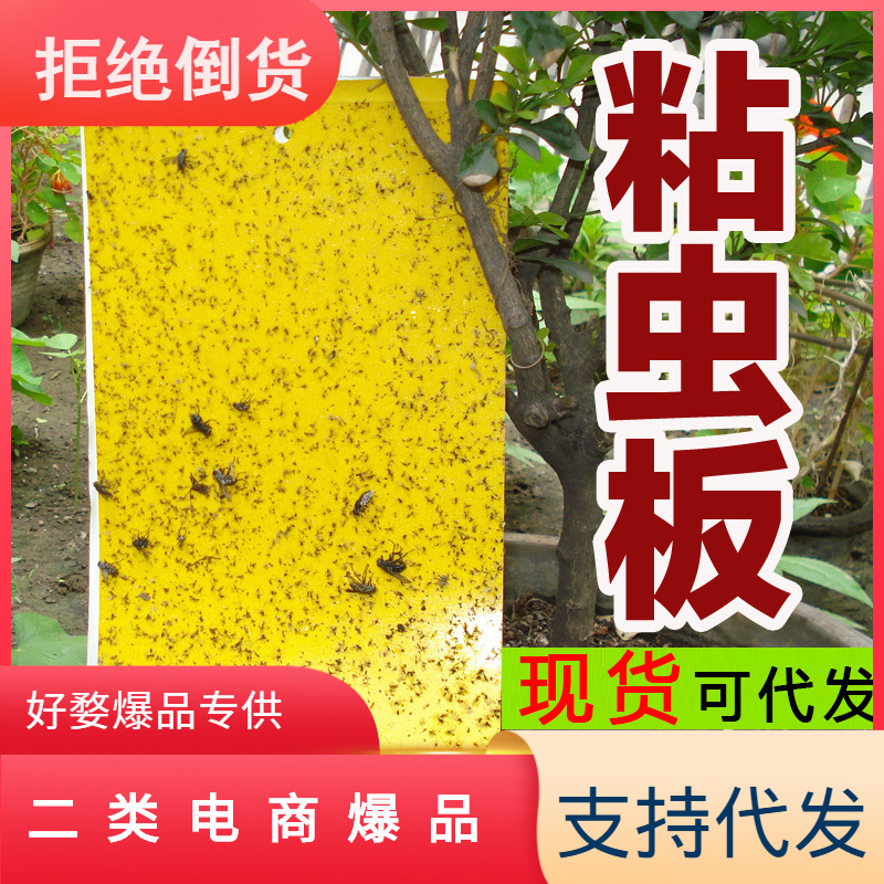 黄板双面诱虫板灭虫板捕虫诱虫杀蚜虫诱捕器捕捉小飞虫板粘虫板