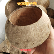 海南椰子壳抛光天然椰壳老椰壳 椰壳工艺品10cm-15cm 2个起包邮