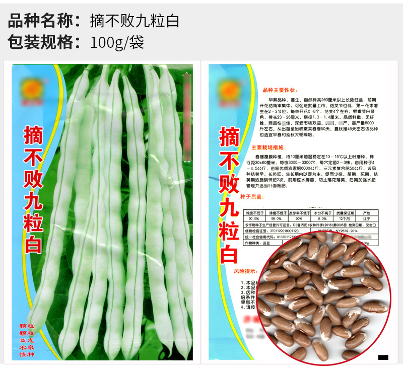 批发豆角种子大全 豇豆种子 芸豆油豆无架豆毛豆无筋豆种子四季豆