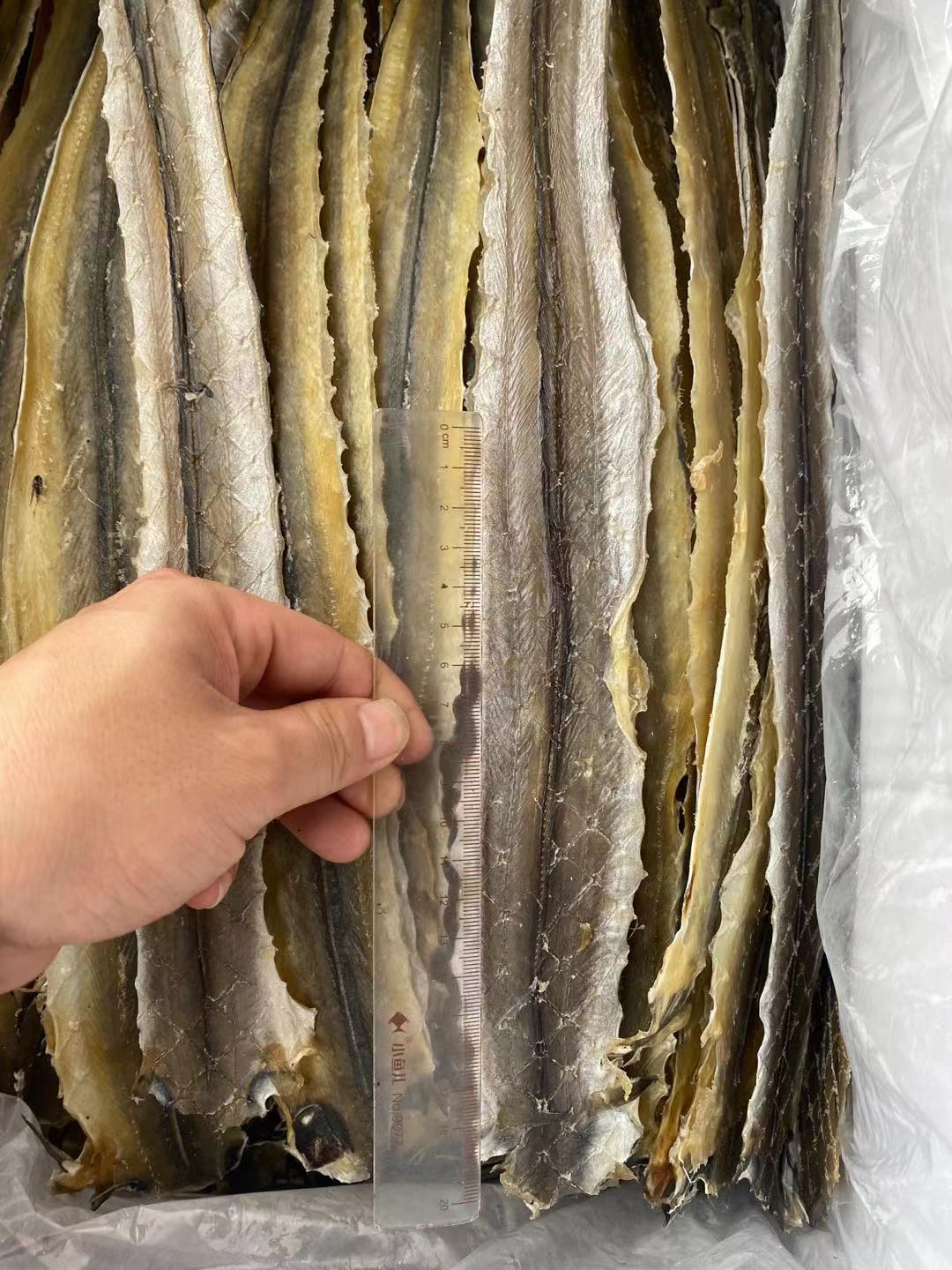 北海特产烧烤鳗鱼干手撕鳗鱼干芥末马步鱼干鳗鱼片500克海鲜批发