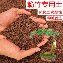 小叶簕竹土勒竹土风化土种竹子土红土酸性盆景土种植土营养土