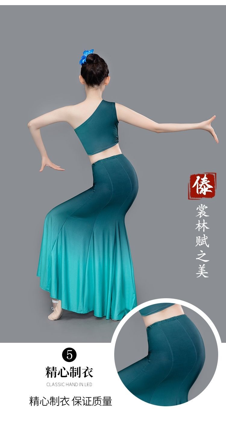 傣族舞蹈演出服练功裙表演服女傣族舞裙孔雀舞鱼尾半身裙艺考服装
