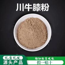 川牛膝粉破壁超细粉高品质中药材四川甜牛膝 另有怀牛膝500克包邮