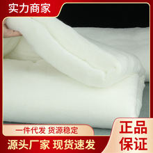 OP57丝棉太空丝绵蓬松腈纶晴纶纤维填充物棉子芯料宝宝填充棉水洗