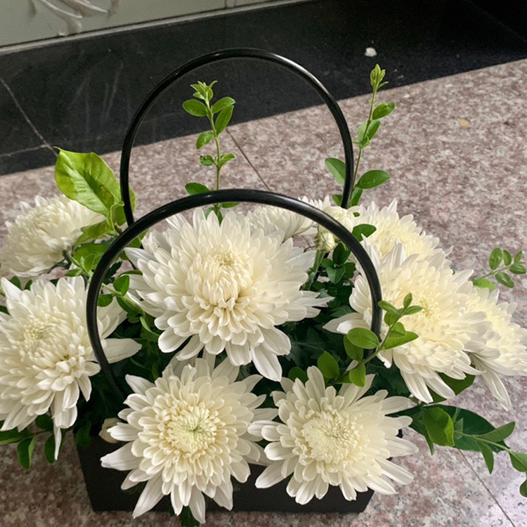 云南昆明黄菊白菊鲜花大菊花批发清明节祭拜忌日上坟祭祖拜祭批发