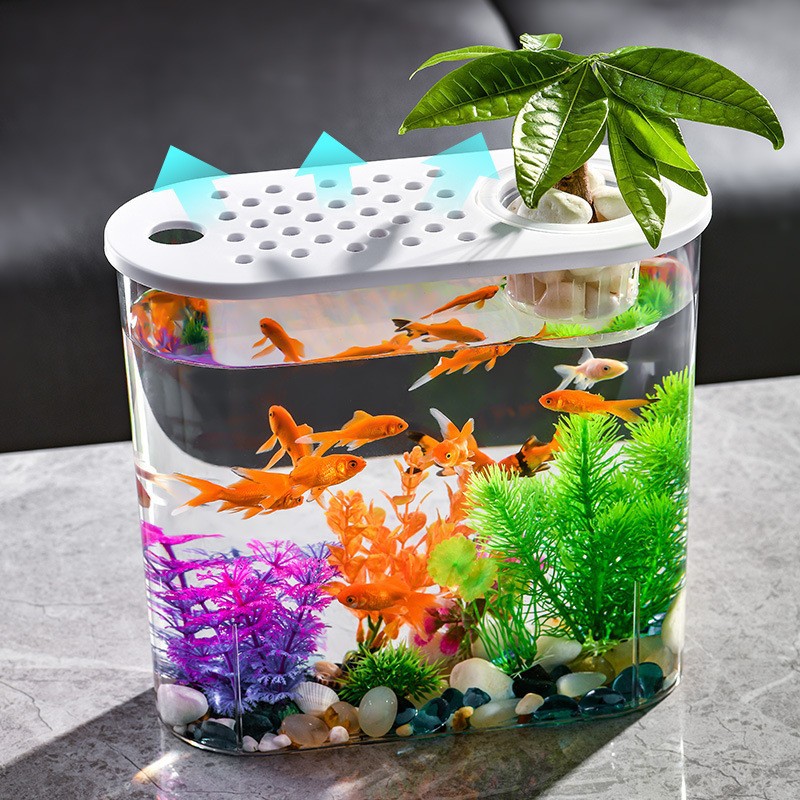 New Plastic Clear with Cover Oval Water and Soil Culture Fish Tank Living Room Office Desk Surface Panel Small Ornaments Fish Globe