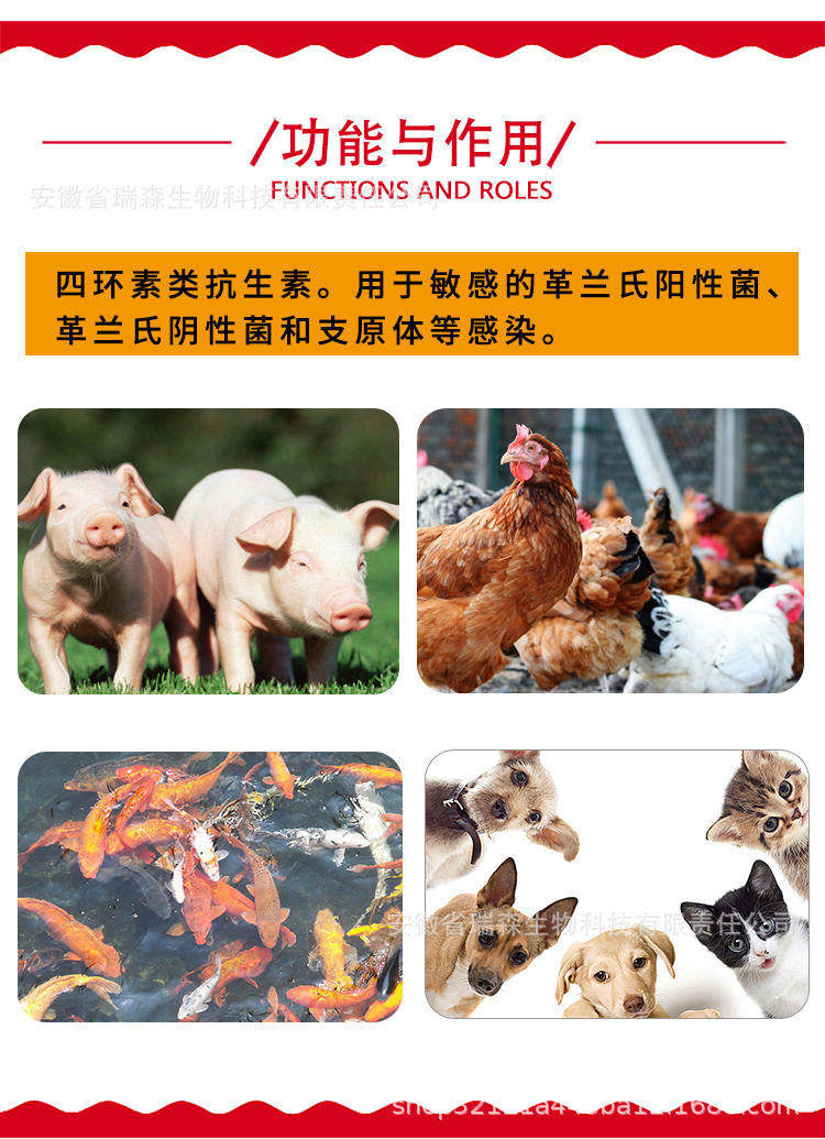 兽药兽用正品土霉素片瓶抗菌消炎肠道拉稀鱼用宠物鸡鸭乌龟鸽猫狗