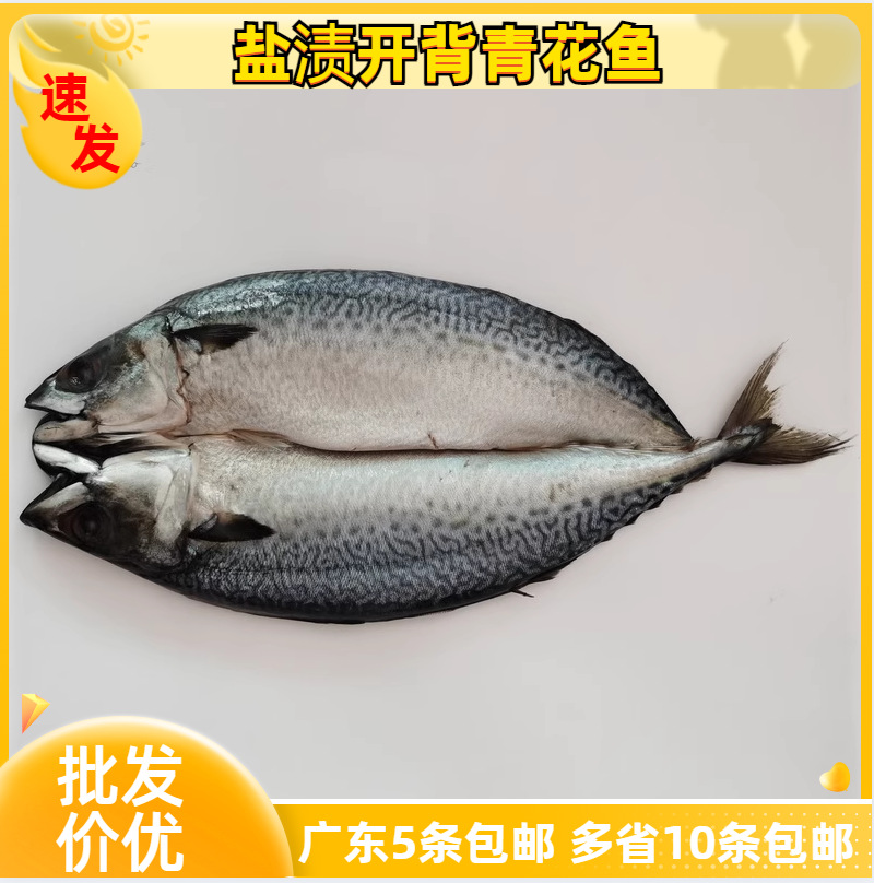 开背青花鱼 开边胎鱼 一夜干烤鱼 烧烤 冷冻海鲜食材厂家