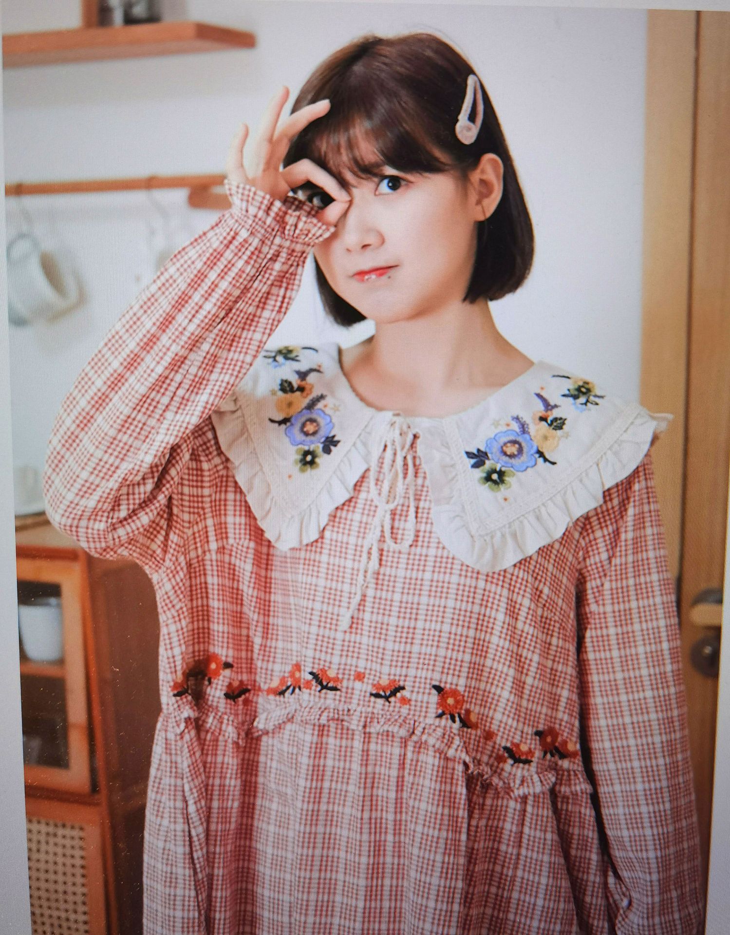 小清新宽松日系学院风娃娃领刺绣连衣裙森女系学生甜美长袖格子裙