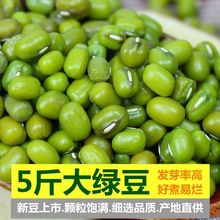 大粒绿豆农家大绿豆去皮脱皮绿豆糕饼绿豆汤豆沙新鲜豆芽笨绿豆